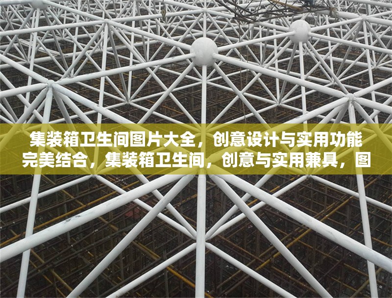 集裝箱衛(wèi)生間圖片大全，創(chuàng)意設(shè)計與實用功能完美結(jié)合，集裝箱衛(wèi)生間，創(chuàng)意與實用兼具，圖片