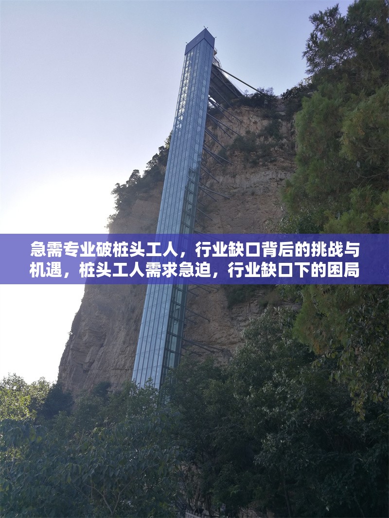 急需專業(yè)破樁頭工人，行業(yè)缺口背后的挑戰(zhàn)與機(jī)遇，樁頭工人需求急迫，行業(yè)缺口下的困局與新