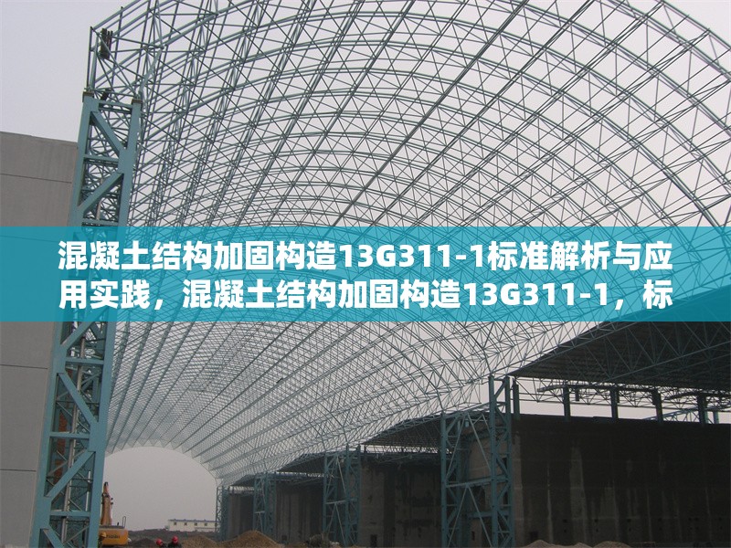 混凝土結(jié)構(gòu)加固構(gòu)造13G311-1標(biāo)準(zhǔn)解析與應(yīng)用實(shí)踐，混凝土結(jié)構(gòu)加固構(gòu)造13G311-1，標(biāo)準(zhǔn)深度解析及實(shí)踐應(yīng)用指南