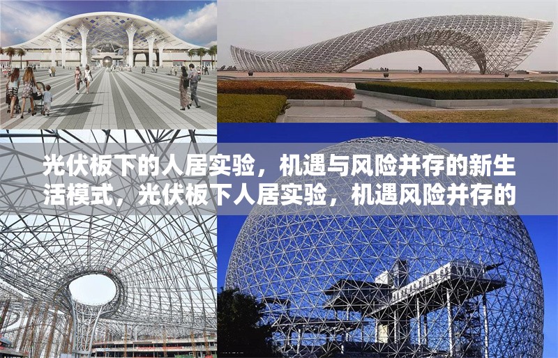 光伏板下的人居實(shí)驗(yàn)，機(jī)遇與風(fēng)險(xiǎn)并存的新生活模式，光伏板下人居實(shí)驗(yàn)，機(jī)遇風(fēng)險(xiǎn)并存的新生活模式探究 行業(yè)新聞