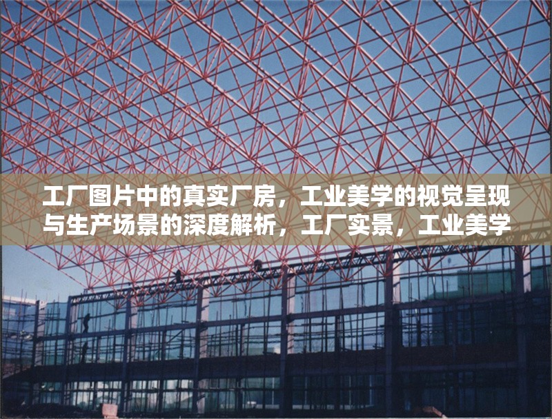 工廠圖片中的真實(shí)廠房，工業(yè)美學(xué)的視覺呈現(xiàn)與生產(chǎn)場景的深度解析，工廠實(shí)景，工業(yè)美學(xué)與生產(chǎn)場景