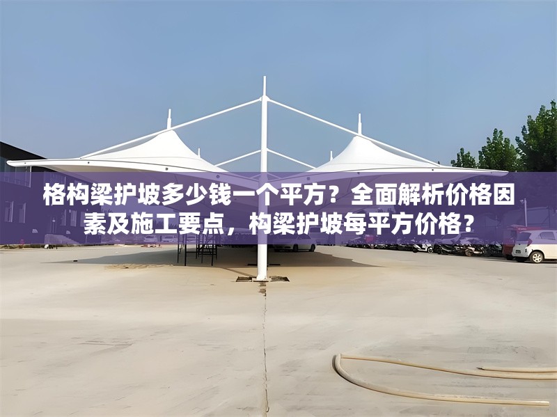格構(gòu)梁護(hù)坡多少錢(qián)一個(gè)平方？全面解析價(jià)格因素及施工要點(diǎn)，構(gòu)梁護(hù)坡每平方價(jià)格？