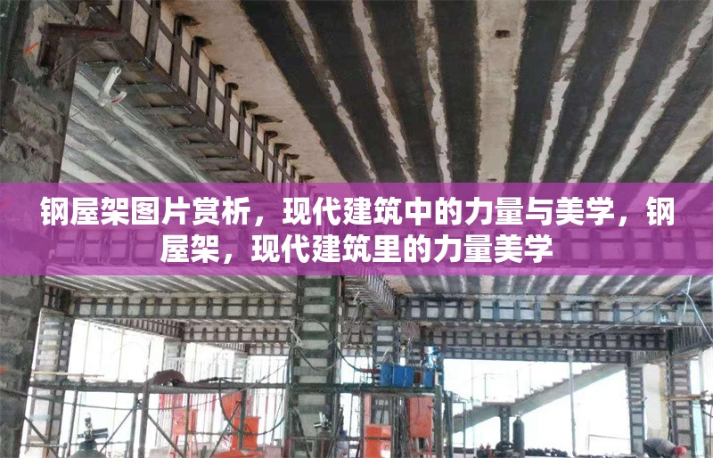 鋼屋架圖片賞析，現(xiàn)代建筑中的力量與美學(xué)，鋼屋架，現(xiàn)代建筑里的力量美學(xué) 行業(yè)新聞