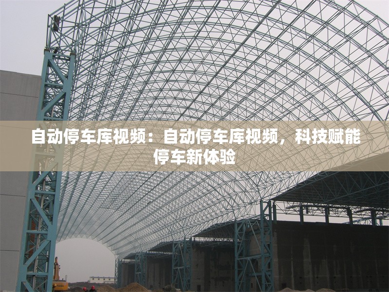 自動(dòng)停車(chē)庫(kù)視頻：自動(dòng)停車(chē)庫(kù)視頻，科技賦能停車(chē)新體驗(yàn) 行業(yè)新聞