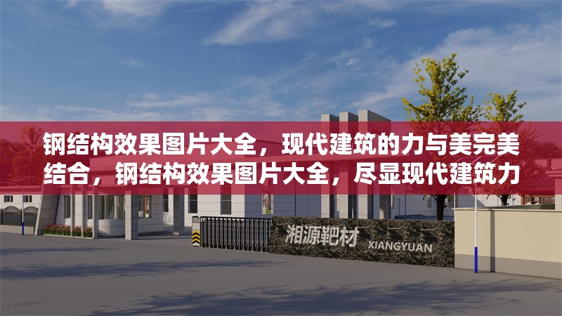 鋼結構效果圖片大全，現(xiàn)代建筑的力與美完美結合，鋼結構效果圖片大全，盡顯現(xiàn)代建筑力與美的完美融合