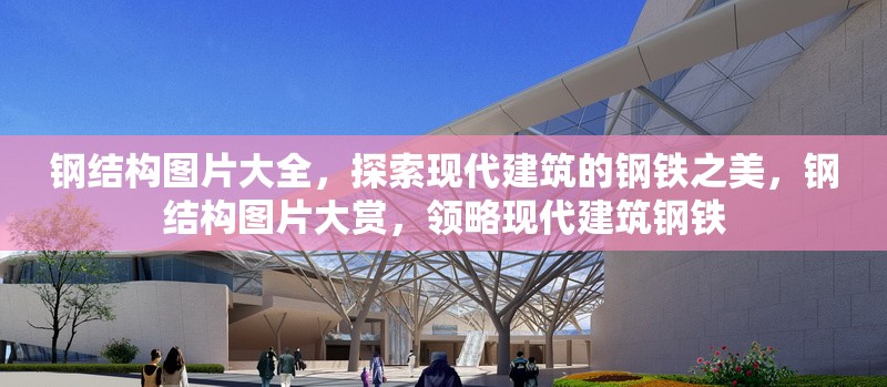 鋼結(jié)構(gòu)圖片大全，探索現(xiàn)代建筑的鋼鐵之美，鋼結(jié)構(gòu)圖片大賞，領(lǐng)略現(xiàn)代建筑鋼鐵