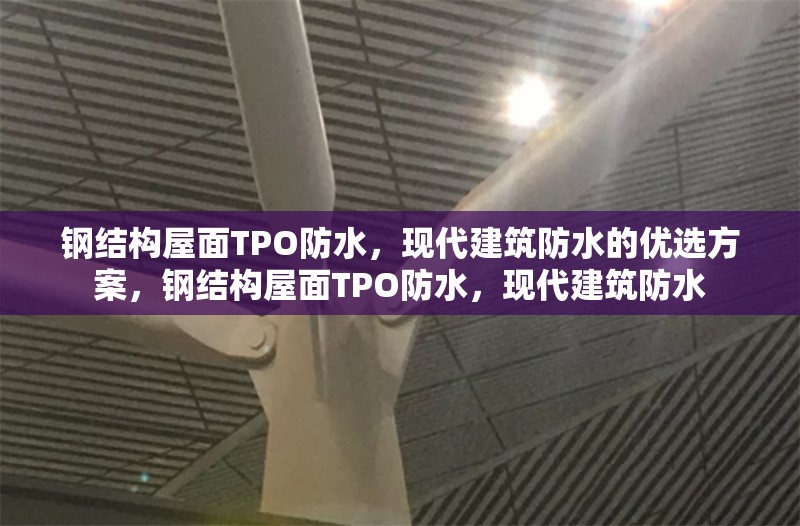 鋼結構屋面TPO防水，現代建筑防水的優(yōu)選方案，鋼結構屋面TPO防水，現代建筑防水 行業(yè)新聞