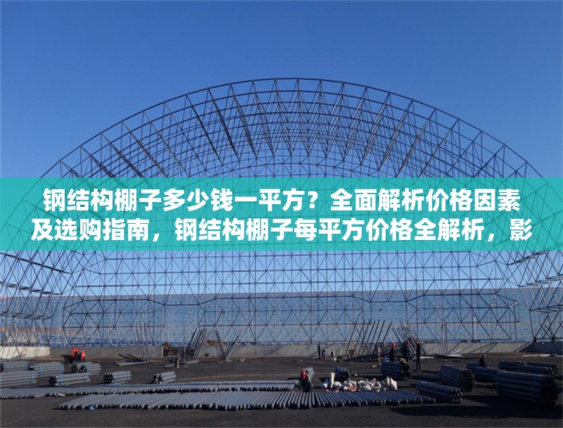 鋼結(jié)構(gòu)棚子多少錢一平方？全面解析價格因素及選購指南，鋼結(jié)構(gòu)棚子每平方價格全解析，影響因素與選購要點