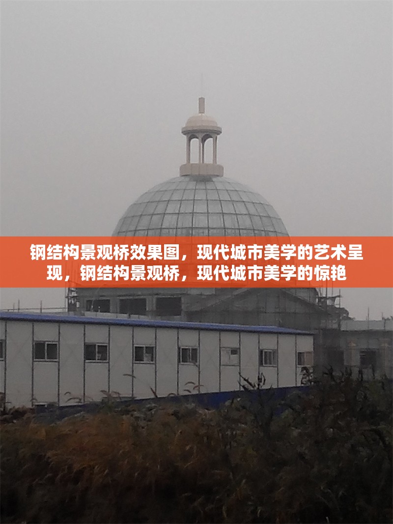 鋼結(jié)構(gòu)景觀橋效果圖，現(xiàn)代城市美學(xué)的藝術(shù)呈現(xiàn)，鋼結(jié)構(gòu)景觀橋，現(xiàn)代城市美學(xué)的驚艷 行業(yè)新聞