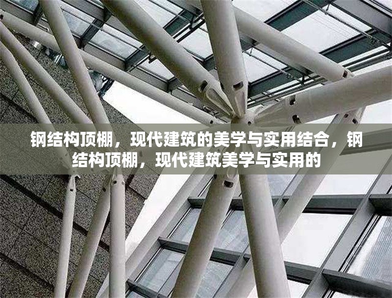 鋼結(jié)構(gòu)頂棚，現(xiàn)代建筑的美學(xué)與實(shí)用結(jié)合，鋼結(jié)構(gòu)頂棚，現(xiàn)代建筑美學(xué)與實(shí)用的