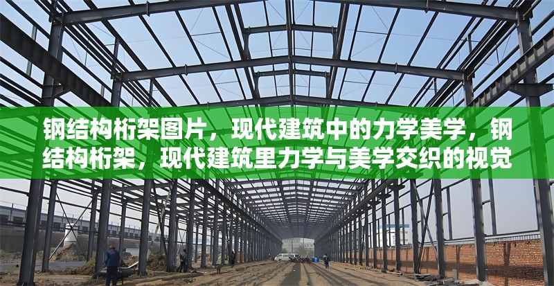 鋼結(jié)構(gòu)桁架圖片，現(xiàn)代建筑中的力學(xué)美學(xué)，鋼結(jié)構(gòu)桁架，現(xiàn)代建筑里力學(xué)與美學(xué)交織的視覺(jué)呈現(xiàn)