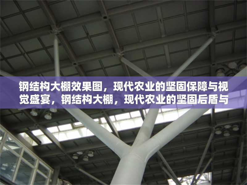 鋼結(jié)構(gòu)大棚效果圖，現(xiàn)代農(nóng)業(yè)的堅(jiān)固保障與視覺盛宴，鋼結(jié)構(gòu)大棚，現(xiàn)代農(nóng)業(yè)的堅(jiān)固后盾與