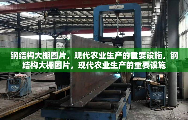 鋼結構大棚圖片，現代農業(yè)生產的重要設施，鋼結構大棚圖片，現代農業(yè)生產的重要設施