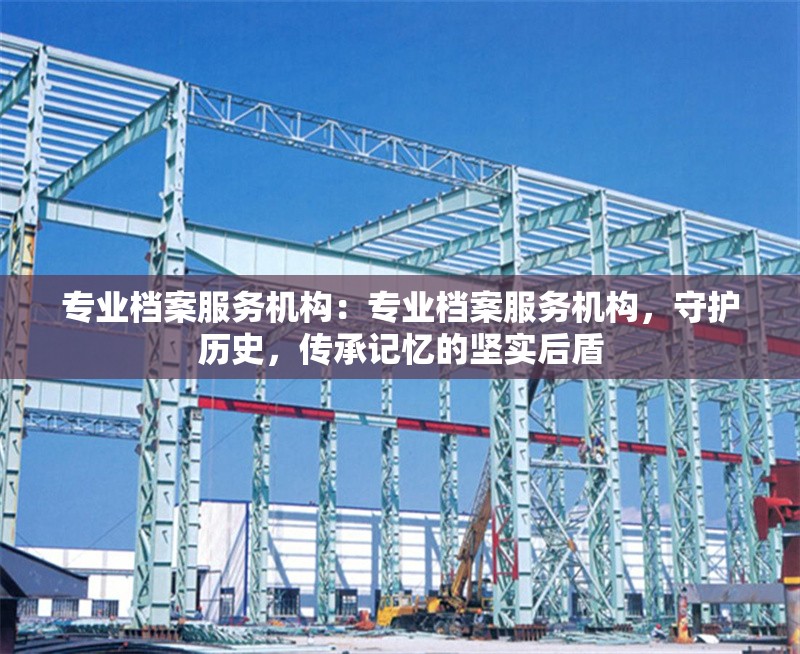 專業(yè)檔案服務機構：專業(yè)檔案服務機構，守護歷史，傳承記憶的堅實后盾 行業(yè)新聞