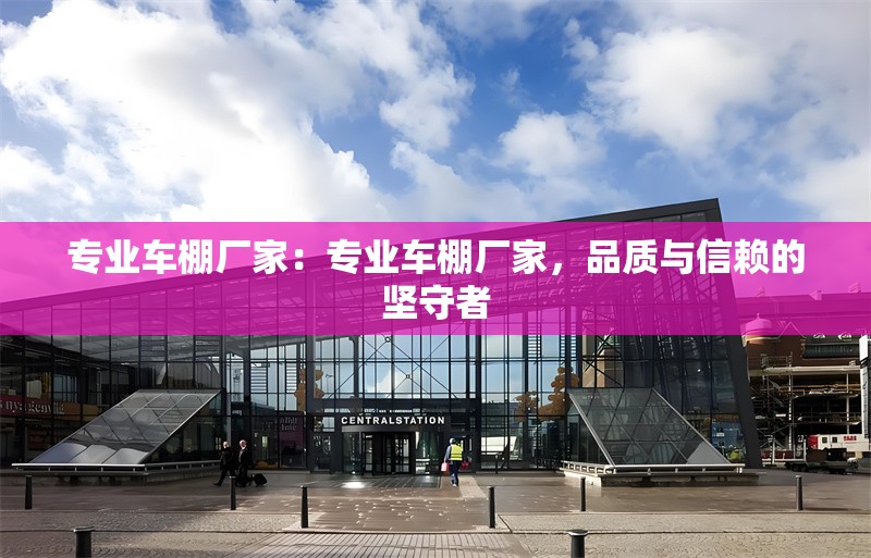 專業(yè)車棚廠家：專業(yè)車棚廠家，品質(zhì)與信賴的堅(jiān)守者