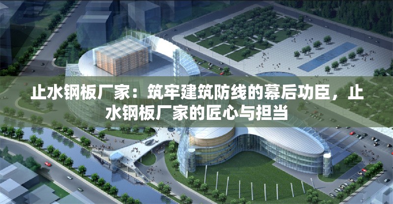 止水鋼板廠家：筑牢建筑防線的幕后功臣，止水鋼板廠家的匠心與擔當