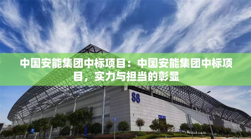 中國安能集團中標項目:中國安能集團中標項目,實力與擔當?shù)恼蔑@