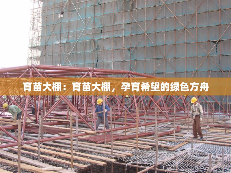 育苗大棚：育苗大棚，孕育希望的綠色方舟