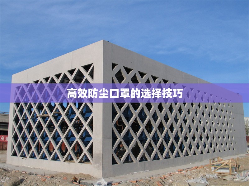 高效防塵口罩的選擇技巧 行業(yè)新聞 第1張 高效防塵口罩的選擇技巧 行業(yè)新聞 第1張