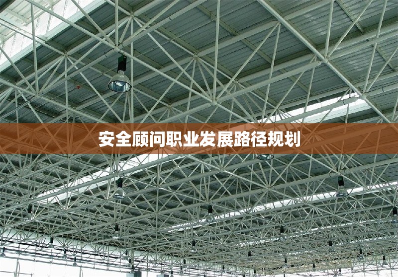 安全顧問職業(yè)發(fā)展路徑規(guī)劃