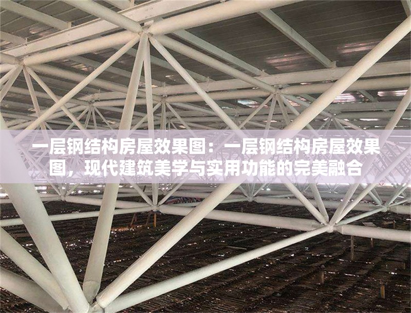 一層鋼結(jié)構(gòu)房屋效果圖：一層鋼結(jié)構(gòu)房屋效果圖，現(xiàn)代建筑美學(xué)與實(shí)用功能的完美融合