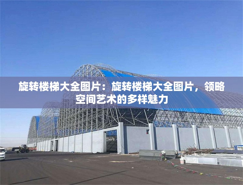旋轉(zhuǎn)樓梯大全圖片：旋轉(zhuǎn)樓梯大全圖片，領(lǐng)略空間藝術(shù)的多樣魅力 行業(yè)新聞