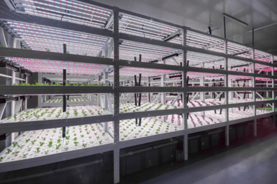 加固工程案例視頻展示 行業(yè)新聞 第2張