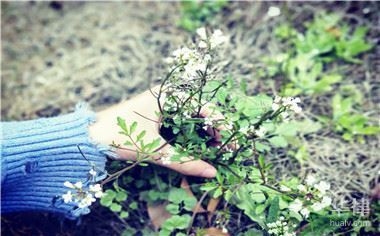 工商部門咨詢資質(zhì)等級方法，工商部門資質(zhì)等級咨詢 行業(yè)新聞 第4張