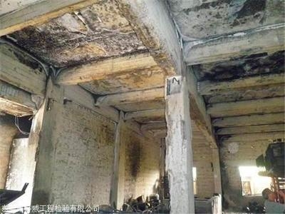 加固公司服務質(zhì)量評價，加固公司服務質(zhì)量，多維度評價與深度 行業(yè)新聞 第2張