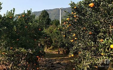 民用建筑與工業(yè)建筑的安全標準對比，民用建筑與工業(yè)建筑安全標準之異 行業(yè)新聞 第3張