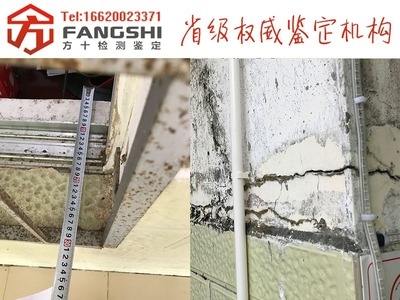 如何判斷建筑裂縫是否嚴重？建筑裂縫嚴重程度判定方法及標準詳解 行業(yè)新聞 第3張
