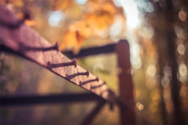 聚苯板與擠塑板性能對(duì)比，聚苯板與擠塑板性能大