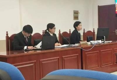 建筑加固項目案例分析，建筑加固項目案例深度剖析與實踐啟示，建筑加固項目案例深度解析與實踐啟示