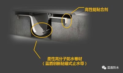 墻體加固技術(shù)創(chuàng)新案例，墻體加固，創(chuàng)新技術(shù)下的變革案例