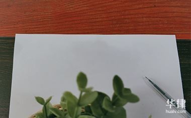 鄰居裝修糾紛處理流程，鄰居裝修糾紛處理全攻略，流程與