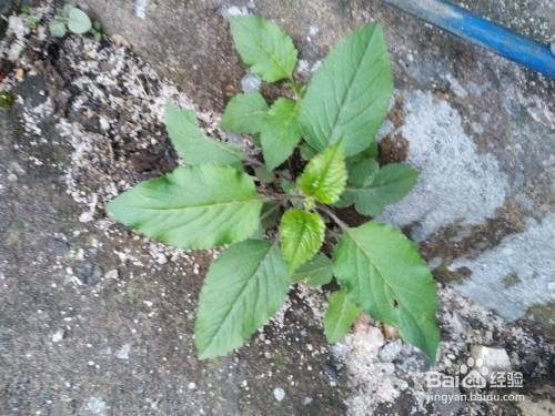 厚鋼板焊接預(yù)熱溫度控制，厚鋼板焊接中預(yù)熱溫度的精準(zhǔn)控制