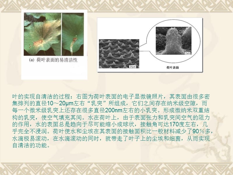 納米材料加固技術(shù)原理，納米材料加固技術(shù)原理，微觀機(jī)制與宏觀應(yīng)用的深度解析 行業(yè)新聞 第1張