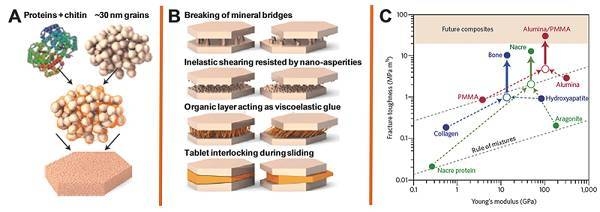 納米材料加固技術(shù)原理，納米材料加固技術(shù)原理，微觀機(jī)制與宏觀應(yīng)用的深度解析 行業(yè)新聞 第4張