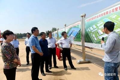 面試常見問題及應(yīng)對策略，面試常見問題及應(yīng)對策略，解鎖求職成功