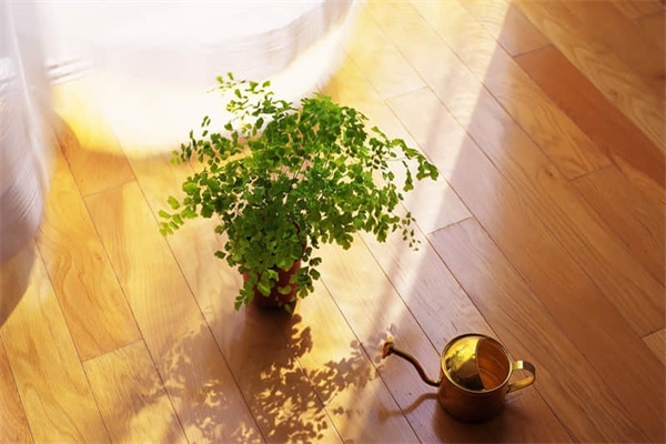 8mm鋼板厚度檢測方法，8mm鋼板厚度檢測，方法與要點