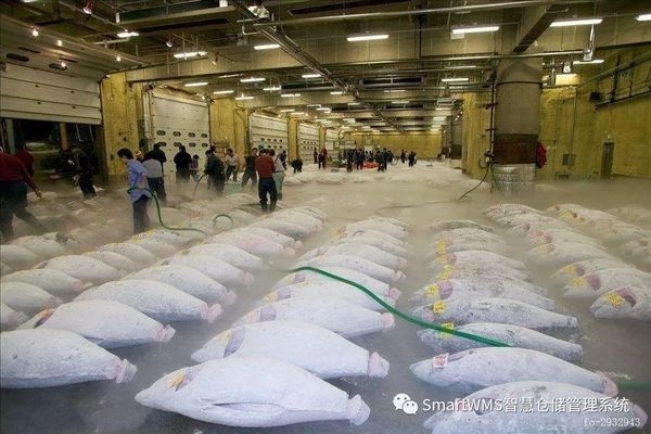 廠房建設(shè)選址成本分析，廠房建設(shè)選址成本分析與決策要點 行業(yè)新聞 第5張