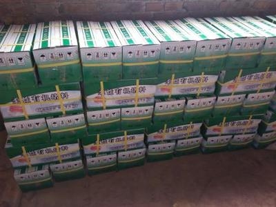 防火泥品牌質(zhì)量對比分析，防火泥品牌質(zhì)量大比拼，深度 行業(yè)新聞 第2張