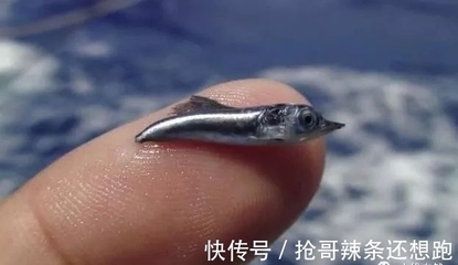 鋼板體積計算的實際應(yīng)用案例，鋼板體積計算，從理論到實際應(yīng)用案例 行業(yè)新聞 第5張