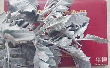 房屋質(zhì)量問題投訴流程，房屋質(zhì)量問題投訴，流程