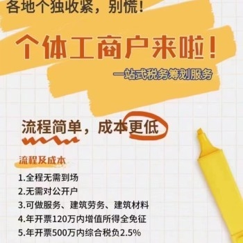 個體工商戶稅收籌劃技巧，個體工商戶稅收籌劃，實用技巧與策略解析