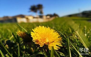 廠房重置成本評(píng)估的法律依據(jù)，廠房重置成本評(píng)估，探尋法律依據(jù)之