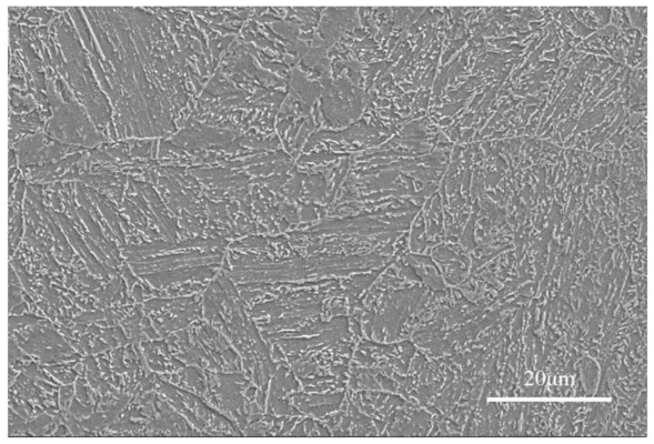 不同環(huán)境下鋼板耐久性對比，鋼板耐久性，不同環(huán)境條件下的性能較量，析不同環(huán)境下鋼板耐久性的差異與特點，探尋鋼板在不同環(huán)境下的耐久性表現(xiàn)