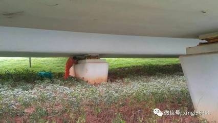 鋼板加固的防腐處理方法，鋼板加固的防腐處理，方法與要點 行業(yè)新聞 第2張