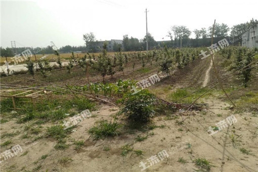 不動(dòng)產(chǎn)登記常見(jiàn)問(wèn)題解答，不動(dòng)產(chǎn)登記常見(jiàn)問(wèn)題全解析