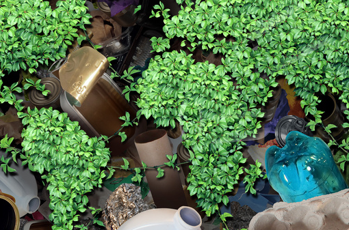 鋼柱加固材料的生物降解性研究，鋼柱加固材料生物降解性探究